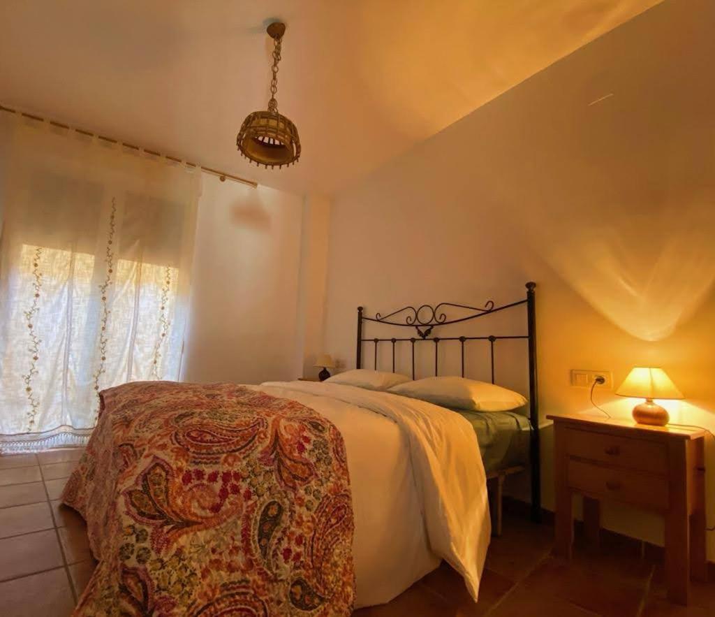 Apartamento Rural El Vidre Vt-42035-Cs فيستابيلا ديل مايسترازجو المظهر الخارجي الصورة