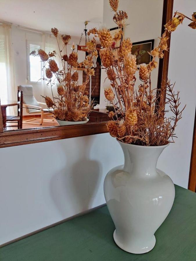 Apartamento Rural El Vidre Vt-42035-Cs فيستابيلا ديل مايسترازجو المظهر الخارجي الصورة