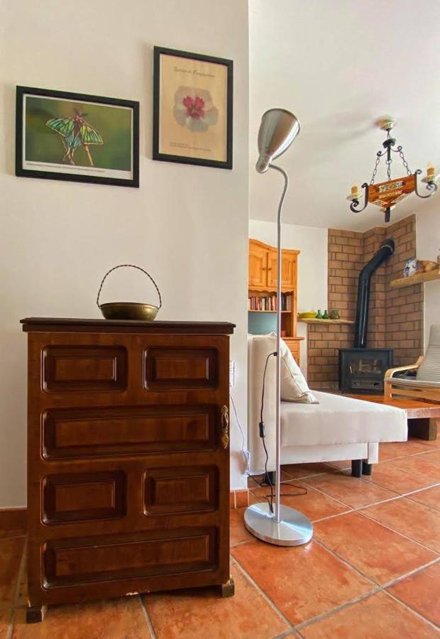 Apartamento Rural El Vidre Vt-42035-Cs فيستابيلا ديل مايسترازجو المظهر الخارجي الصورة