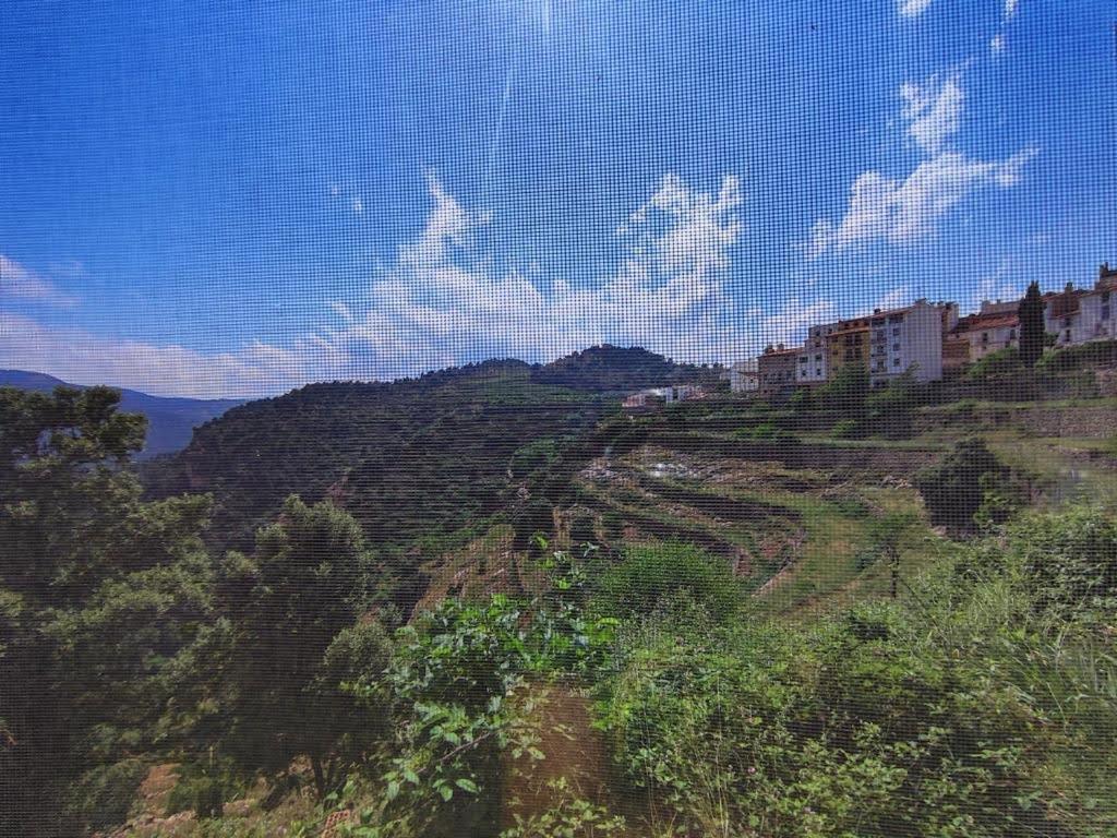 Apartamento Rural El Vidre Vt-42035-Cs فيستابيلا ديل مايسترازجو المظهر الخارجي الصورة